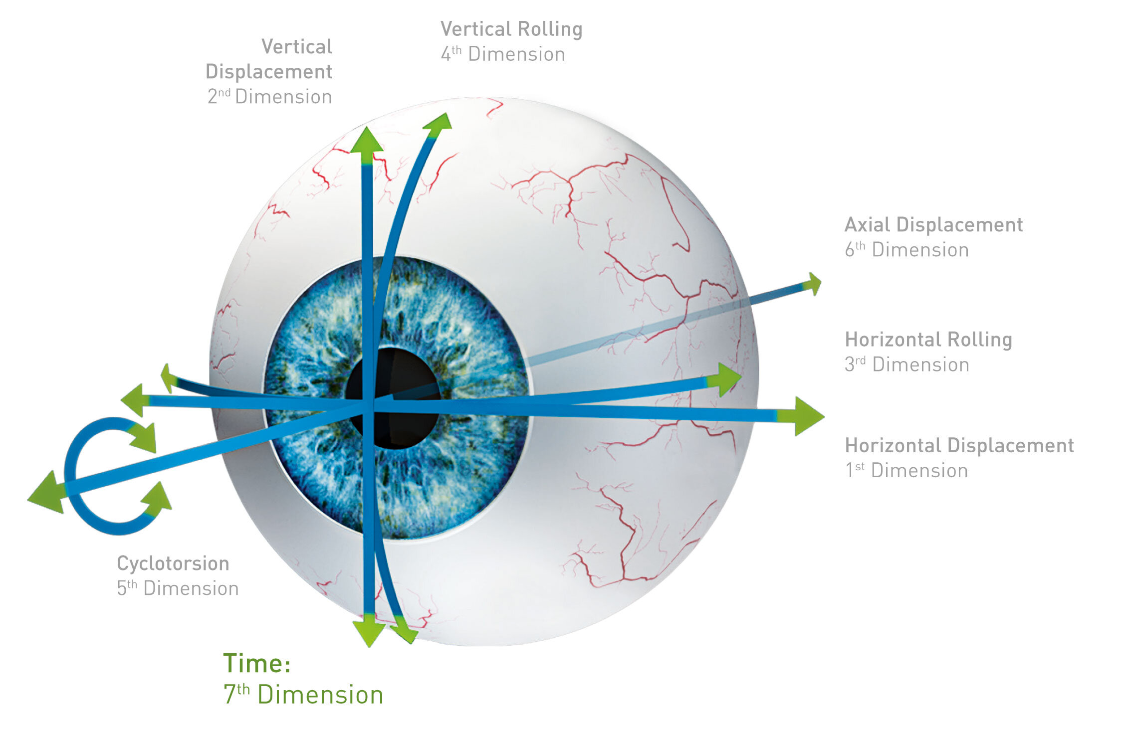 Eye-model with visualizing of the seven dimensions