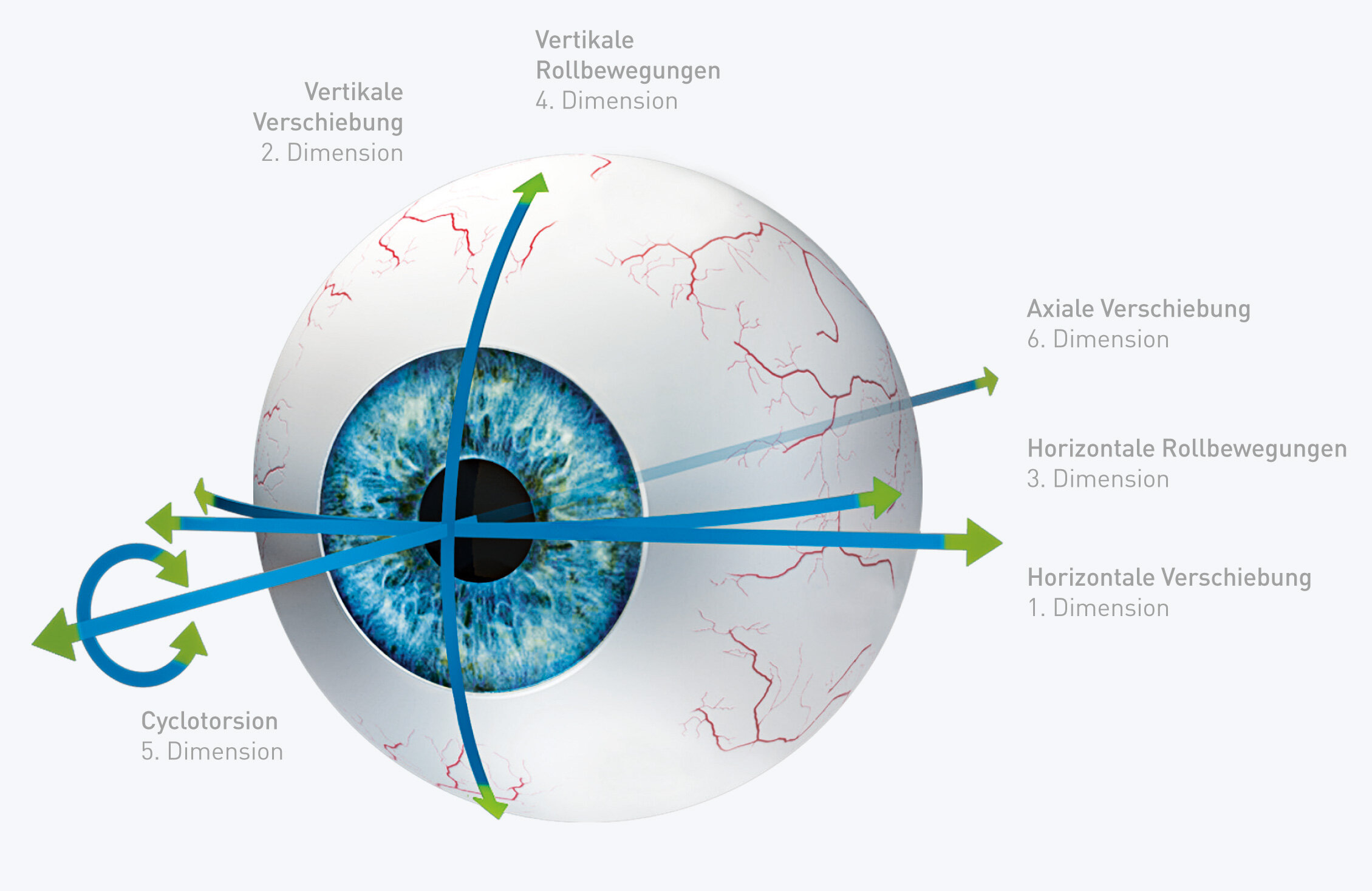 Modell eines Auges mit Darstellung der sechs verschiedenen Dimensionen