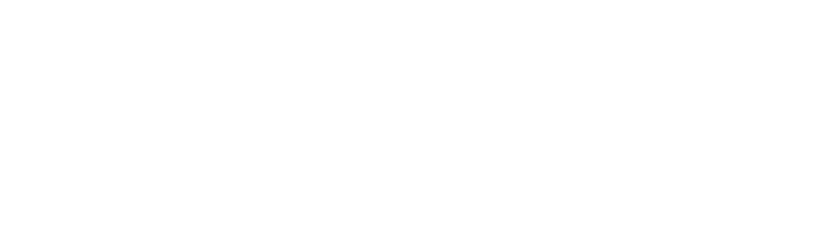 white Signature Line lettering SCHWIND ATOS
