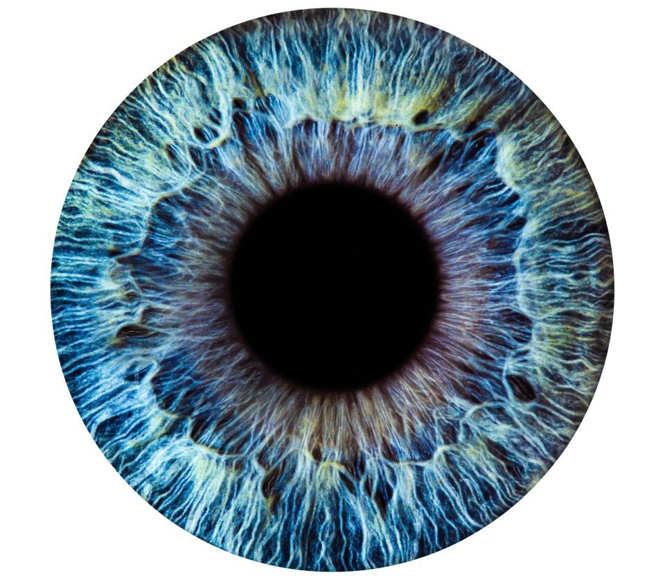 CustomEyes Step 02